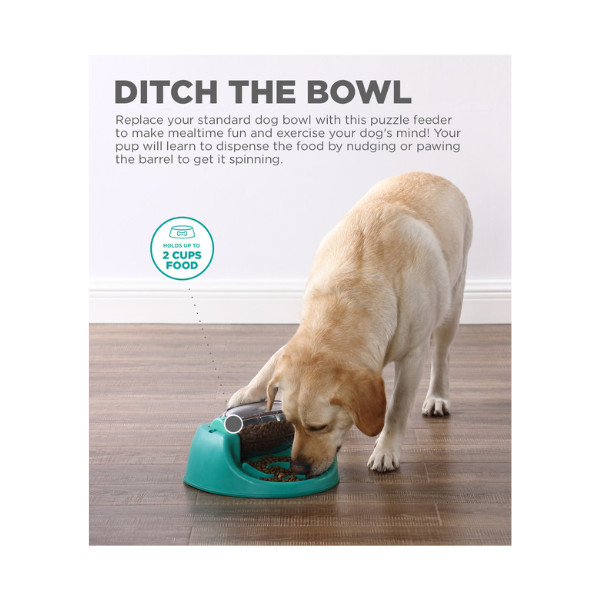 Spin and Eat Puzzle Bowl Dog Toy